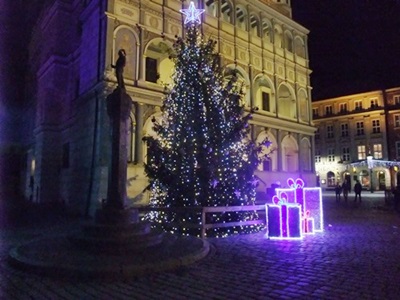 A11. Festiwal Rzeźb z lodu 2015, fot. Stefania Pruszyńska DSCF8476